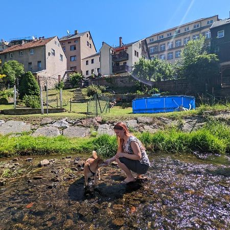 赛博尼茨Urlaubstraum Mit Pool, Terrasse & Fluss Im Garten - Ut公寓 外观 照片
