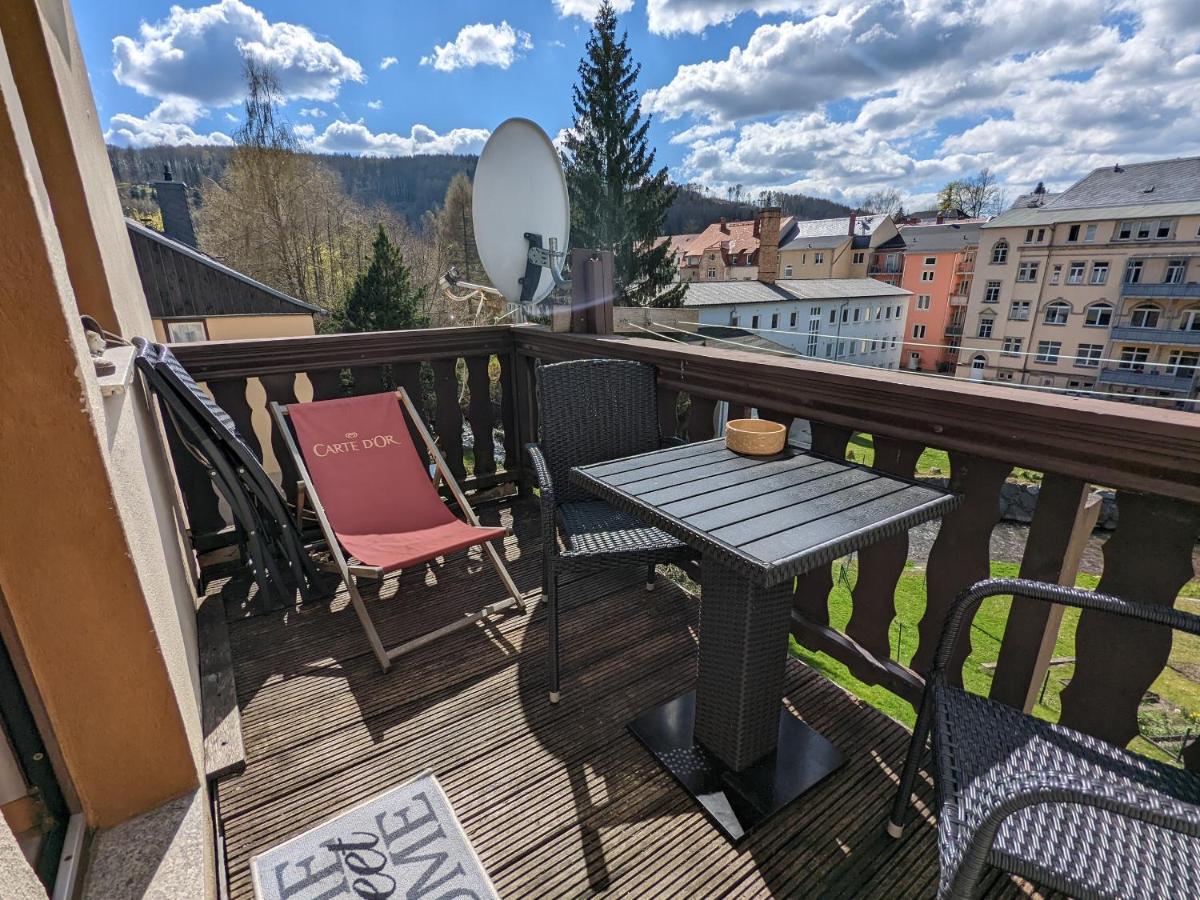 赛博尼茨Urlaubstraum Mit Pool, Terrasse & Fluss Im Garten - Ut公寓 外观 照片