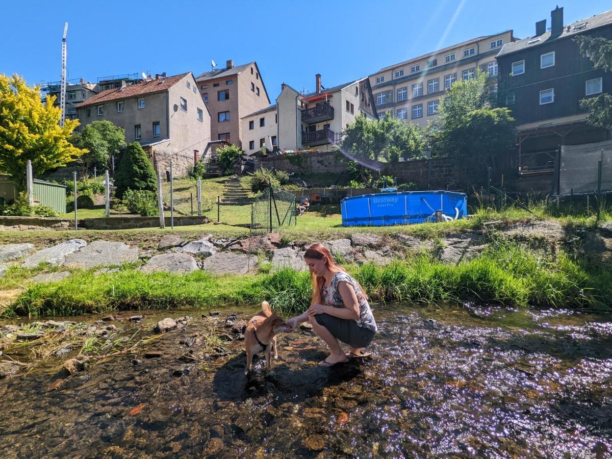 赛博尼茨Urlaubstraum Mit Pool, Terrasse & Fluss Im Garten - Ut公寓 外观 照片