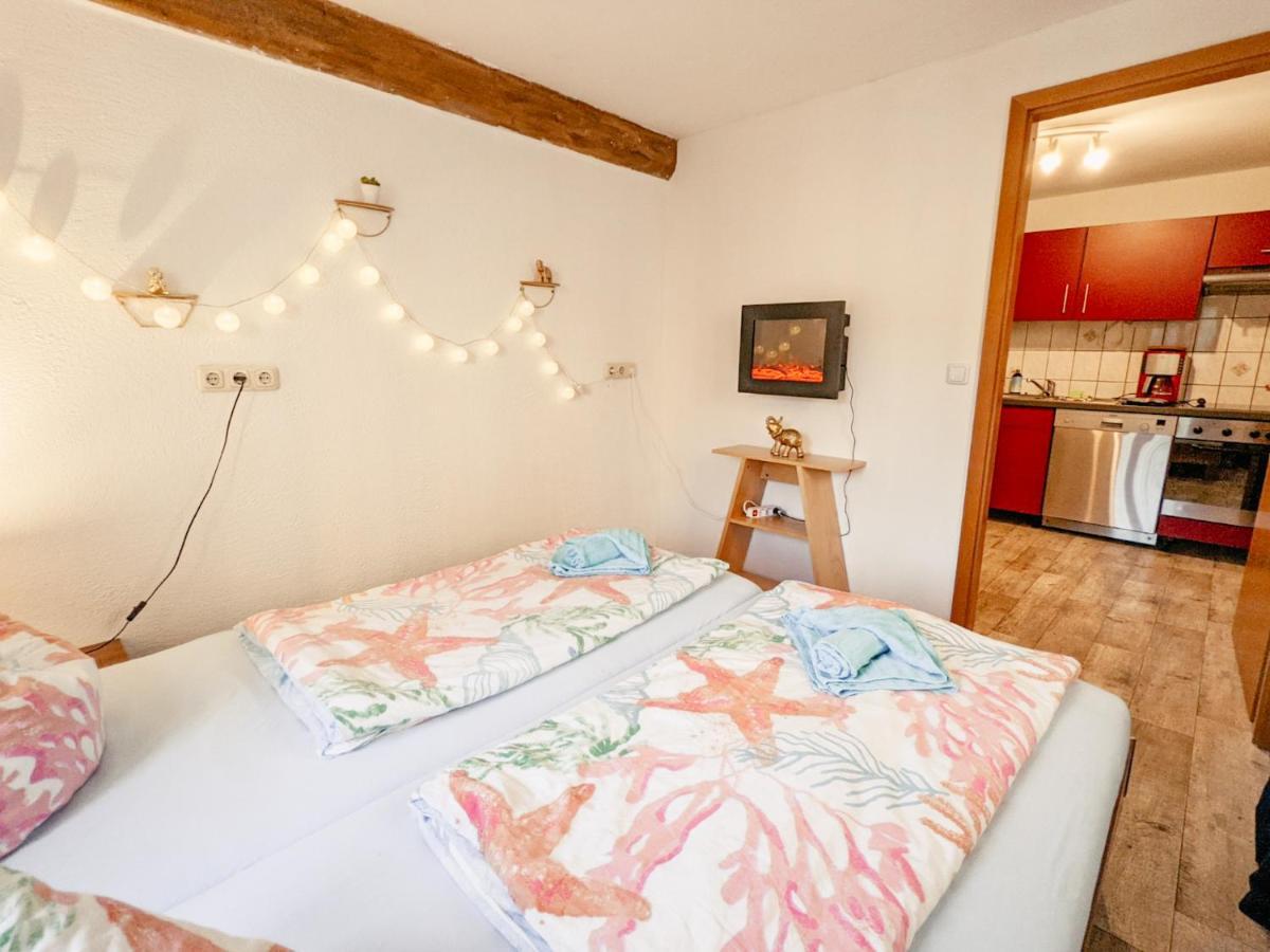 赛博尼茨Urlaubstraum Mit Pool, Terrasse & Fluss Im Garten - Ut公寓 外观 照片