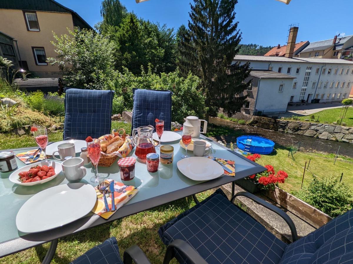 赛博尼茨Urlaubstraum Mit Pool, Terrasse & Fluss Im Garten - Ut公寓 外观 照片