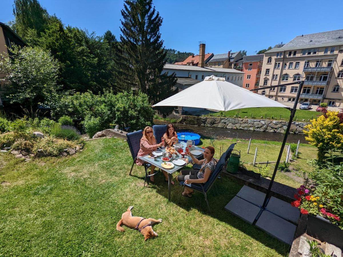 赛博尼茨Urlaubstraum Mit Pool, Terrasse & Fluss Im Garten - Ut公寓 外观 照片