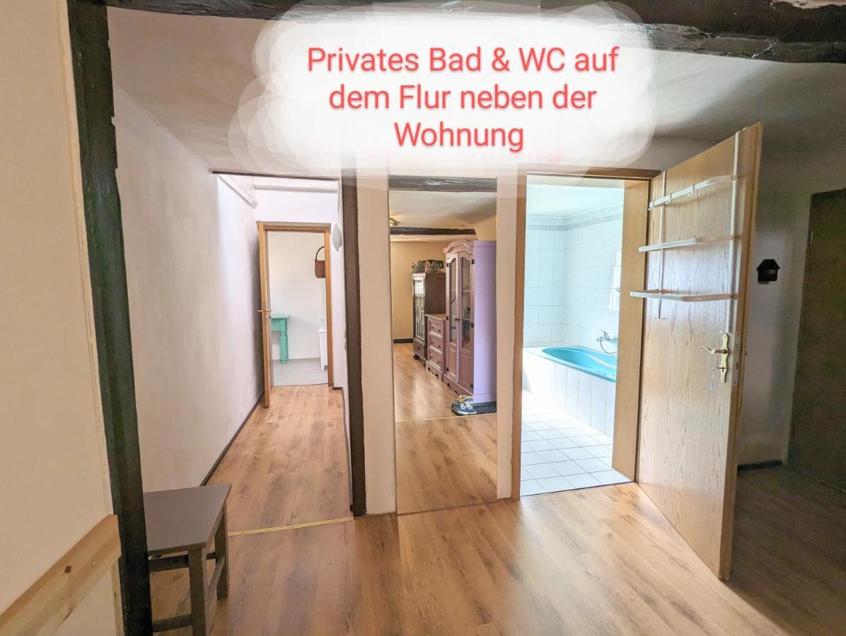 赛博尼茨Urlaubstraum Mit Pool, Terrasse & Fluss Im Garten - Ut公寓 外观 照片
